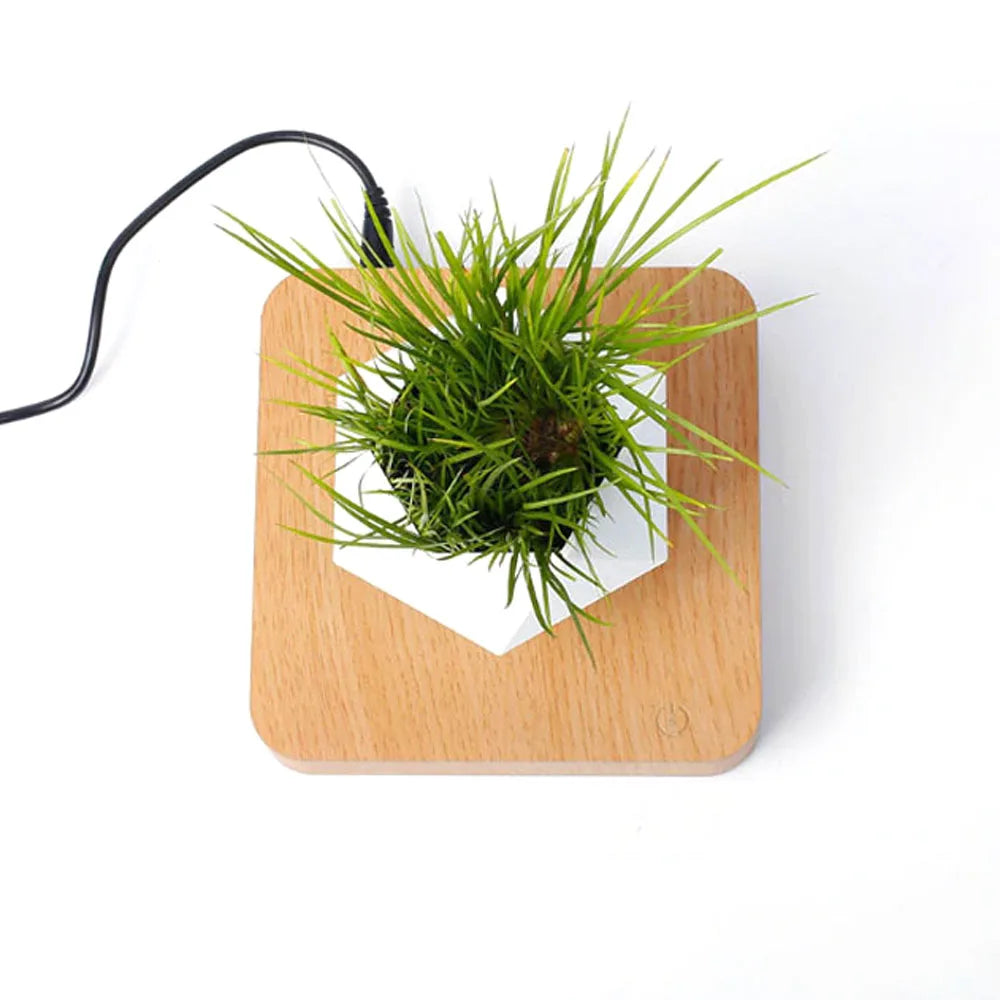Levitating Plant Pot